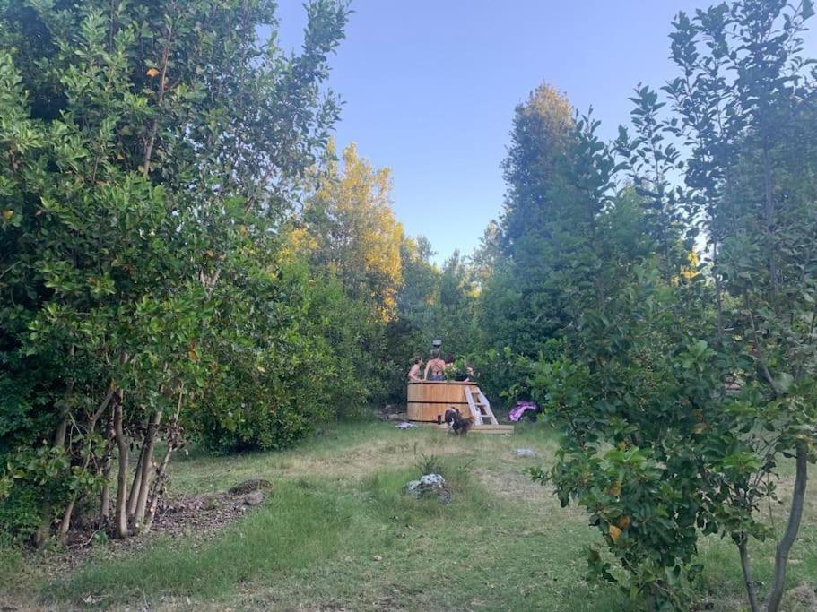 Maravillosa En La Montana, Tranquilidad Y Calidez Chalé Pucón