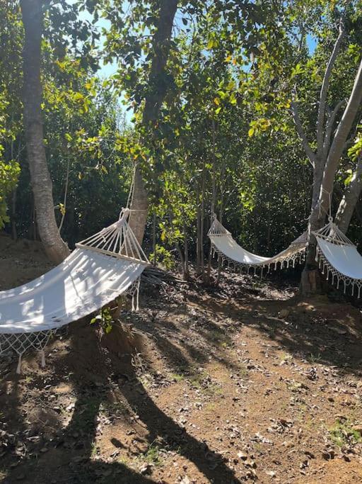 Maravillosa En La Montana, Tranquilidad Y Calidez Pucón