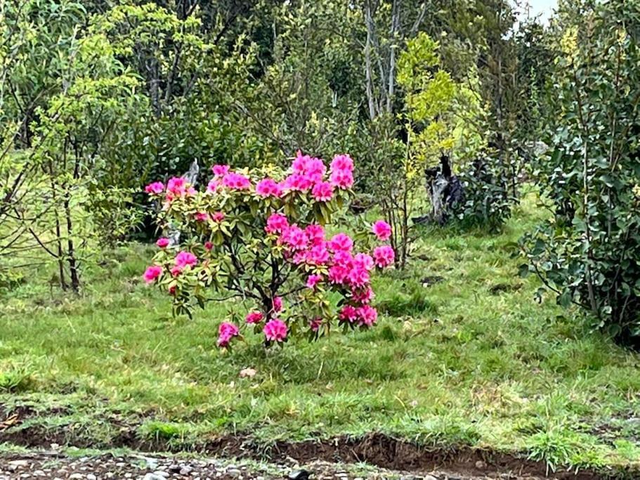 Chalé Maravillosa En La Montana, Tranquilidad Y Calidez *