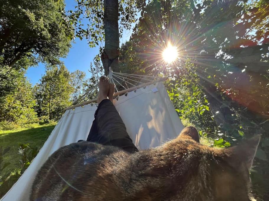 Maravillosa En La Montana, Tranquilidad Y Calidez