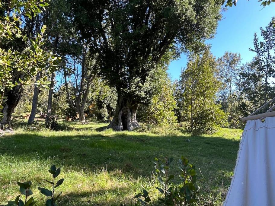 Maravillosa En La Montana, Tranquilidad Y Calidez Pucón
